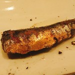 鮓 きずな - 鰯のオイルサーディン