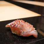 いちかわ - 黄金鯵