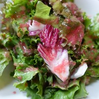 BISTRO DOUBLE - 