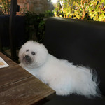 Mr.FARMER - テーブルに戻ります