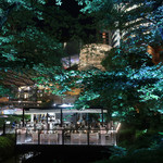 Mr.FARMER - 木々のライトアップ