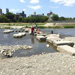 出町ふたば - 鴨川デルタの飛び石  ここが駅への近道だったため
                                渡りました！