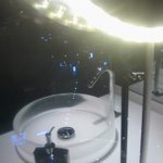 ルチアーノショー - 