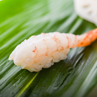 八戸で獲れる魚介。その魅力を味わえるお鮨に麗しさを感じて…。