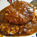 日乃屋カレー - 