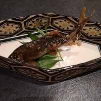 小熊 - 