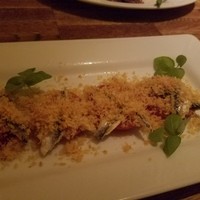 CICADA - 