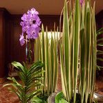 香桃 - 2011年8月ロビーのアレンジも夏