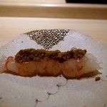 鮨 なんば - 増毛のボタン海老