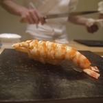 鮨 なんば - 三河の車海老