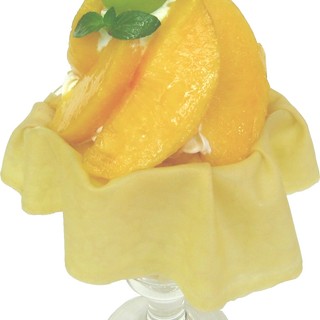 アオイ農園　ぶどうの木