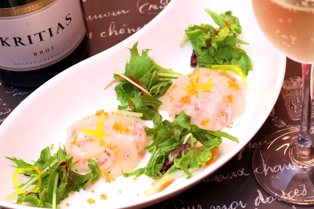 アミカチーナ・テウトのリーフレット