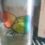 日本酒セルフ SAKE SPOT - 