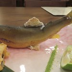 糸島会席風音 - 