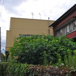 ヒッチ ハイカーズ バーガー スタンド - 