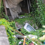 ヒッチ ハイカーズ バーガー スタンド - 