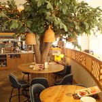 アロハテーブル ららぽーと海老名