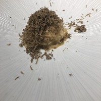 中国菜エスサワダ - 