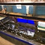 Saburouzushi - 店内の生簀と水槽