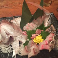 六献 品川店 - 