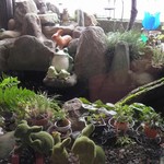 手打ち中華そば 和屋 - 店内