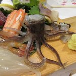 しん善 - 活き烏賊2018.08.28