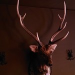 エレゾハウス - 