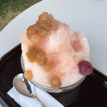 キャンデイード2 - 