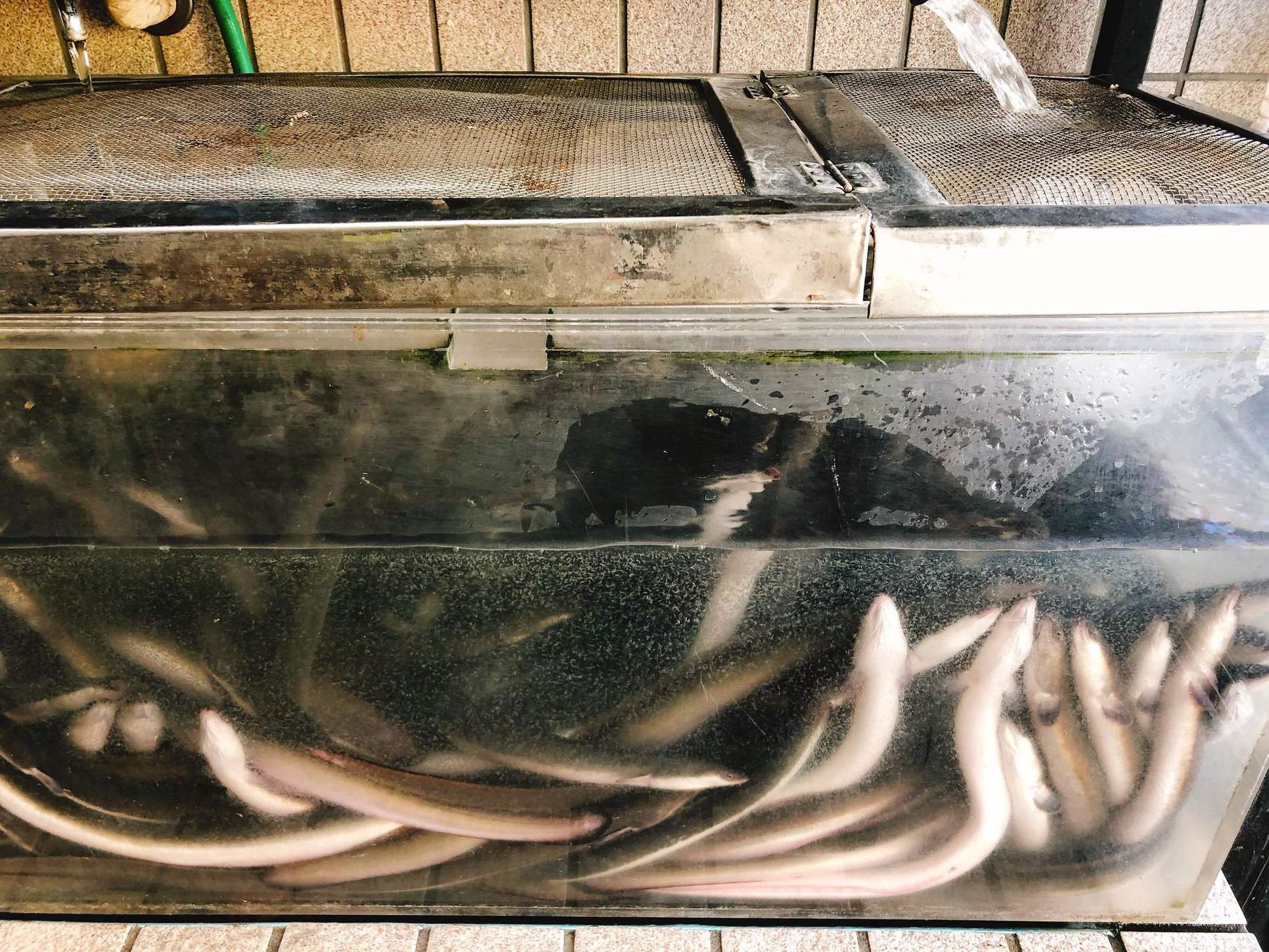 清水屋川魚店 name=