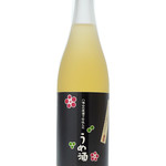 Plum wine made with unprocessed sake from Hakkaisan [Minamiuonuma City, Hakkai Jozo 14°]