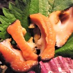 KAKIYA シェル＆シュリンプ - 