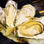 OYSTERBAR SHELL&SHRIMP - 