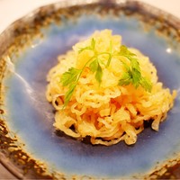 CINA New Modern Chinese - クラゲ