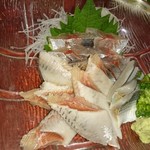 日向丸 - 鰯の刺身