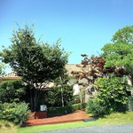 ヴィオレット・ステラ - 緑に覆われた可愛いお店♡