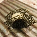 秋刀魚のリエット　ジャガイモとニンニクのチュイル