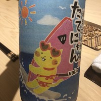 すし岩瀬 - ビキニでウインドサーフィンのたてにゃん