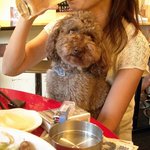 TAPAS桜台 - カールも同席ですよ～♪