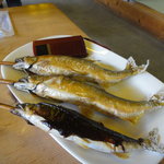 杉ケ瀬ヤナ - 特大と中（田楽）です。今年はサイズが分かりやすいように携帯と一緒に写真を撮りました。