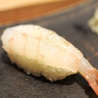 すし屋のさい藤 札幌本店 - ボタン海老
