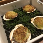 Cuca - ベイクドスカラップ