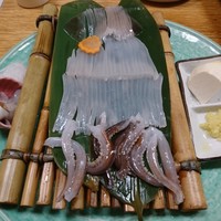 海鮮家 はこだて 本店 - 活烏賊踊り造り(2300円)