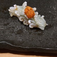 秀徳 2号店 - イカ(美しい)
