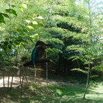 御宿かわせみ - 