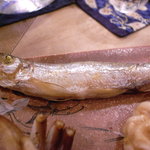 鮨あおき - ししゃも