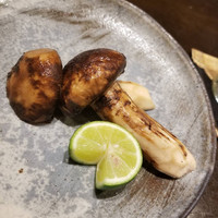大阪とらふぐの会 PREMIUM - 