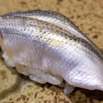 鮨匠 のむら - 握り⑨新子(熊本県天草産)
      産卵期は春。旬はそれぞれ、新子は初夏
      小鰭は鮗(コノシロ)の青年期の呼び名
      小鰭は夏、鮗は晩秋～晩冬
      寿命は3年
      〆の塩梅が良く、薫りが良いです
      脂も適度にのって美味しい