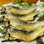 やまめ庵 - 鮎塩焼き