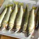 やまめ庵 - 刺身用鮎