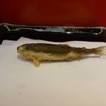 銀座 天一 - 若鮎